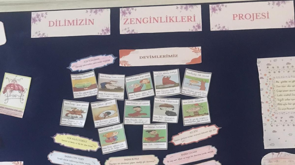 DİLİMİZİN ZENGİNLİKLERİ PROJESİ OKUL PANOMUZ